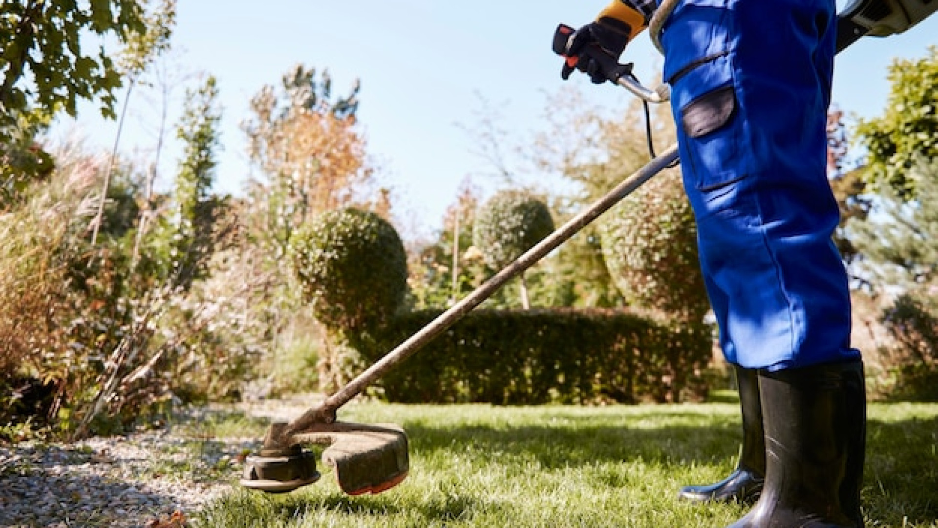Jardinage et motoculture : les essentiels à acheter en ligne